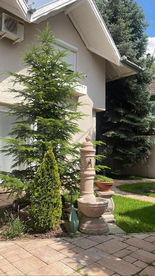 شقة La Casa Tamaris Senta المظهر الخارجي الصورة
